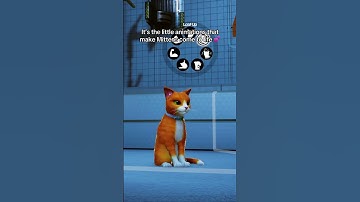 Mittens Animation Showcase 🎥🐱