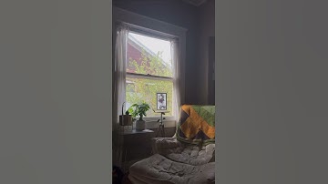 Across the Divide: Generative Animation Video Art