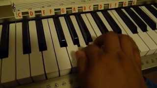 Video thumbnail of "CANTARE AL SEÑOR POR SIEMPRE INTRO PIANO"