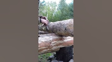 A log cabin built by one man moving heavy logs 15 #shorts