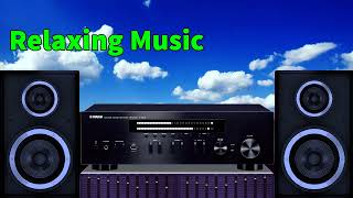 Relaxing Music, New Disco ChaCha Clip 171, Instrumental Music 2023