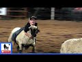 Mutton Bustin' 🦙 2021 Motley / Dickens Old Settlers Rodeo | Saturday