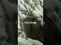 SMUDGEEEEE