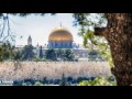 اجمل انشودة من اجل الاقصى Alaqsa 