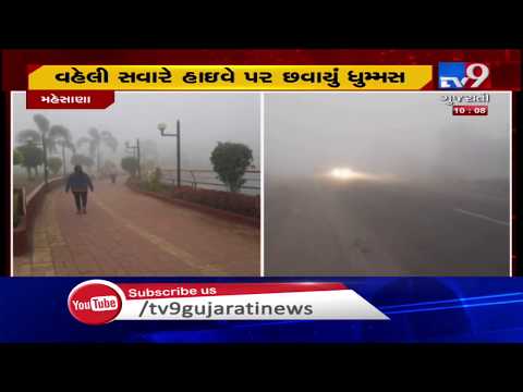 Foggy weather lead to low visibility in Tapi and Mehsana, early morning today | TV9News