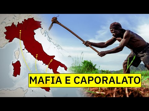 Video: Quale regione dipendeva dalla schiavitù?