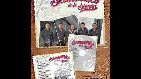 Sementales De La Sierra - Fortino Gomez