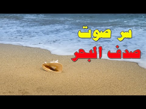 فيديو: لماذا يسمع صوت الأمواج في صدف