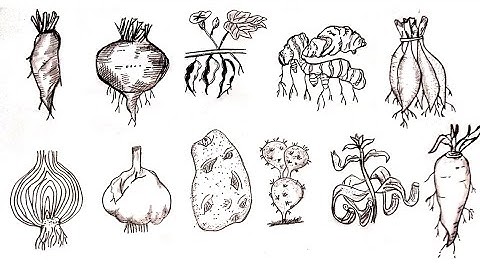 Class 7 assignment Science 12th week answer || Class 7 assignment drawing || assignment drawing