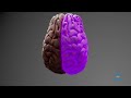 Educational Video Introduction To Brain Injury Educational Video Introduction To Brain Injury