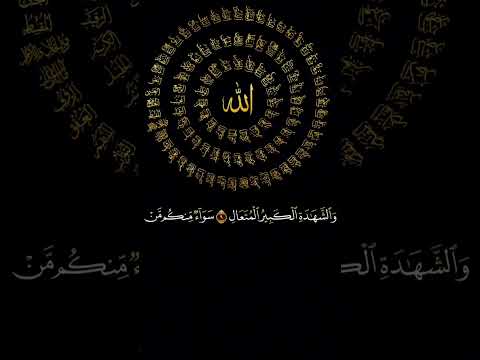 ءايات الله يعلم ما تحمل كل أنثى سورة الرعد الشيخ الزين محمد أحمد 