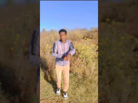 DHAANTO CUSUB ABWAAN CABDI WALI XASAN DHUUX IYO UBAX DARAJO 2025