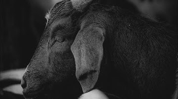 Leeren Flow_SA - Slide (official music video)directed by @whateveriwantvisualz 