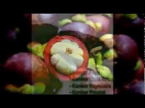 obat herbal amandel yang mujarab dan manjur obat herbal amandel yang mujarab dan manjur