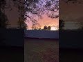 🎺🎺🎺🎺 #sunsetview #sunset