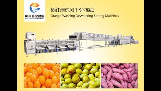 Customized Fruit and Vegetable Processing Line for washing dehydrating sorting machine