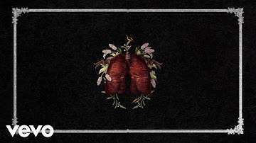 Florence + The Machine, Jules Buckley - Bird Song (BBC Proms at the Royal Albert Hall / Visualiser)