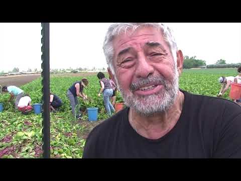 JUIF ? Selon Robert Karsenty