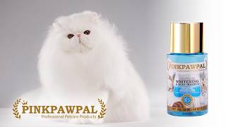 Whitening Shampoo and Bling Bling Powder For Cats & Dogs screenshot 4