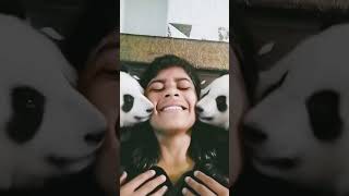 panda sir