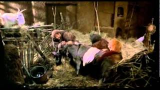 Bertoldo Bertoldino E Cacasenno Lasino Che Caga Bisanti.avi