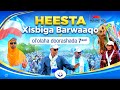 HEES CUSUB XISBIGA BARWAAQO OFFICIAL SOMALI MUISC VIDEO 2026 