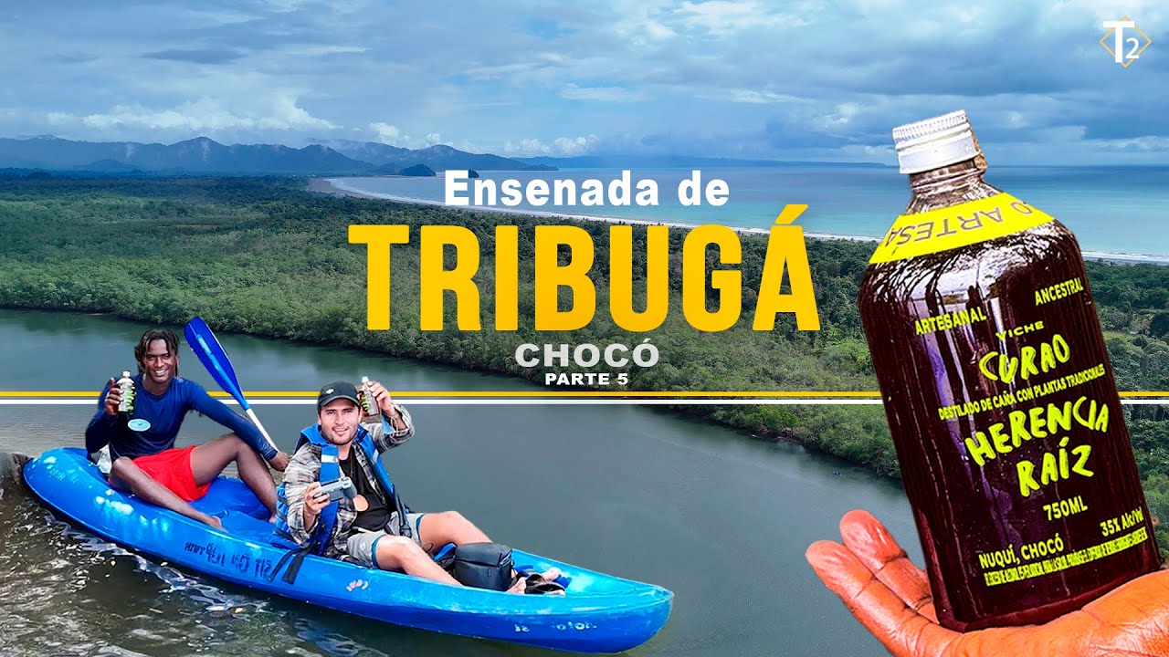 Probamos el Viche: La bebida ancestral del Pacífico en Tribugá Chocó Pt 5 | Epis 57