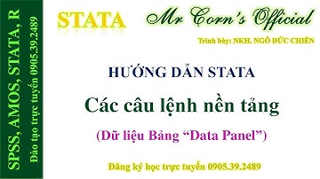 STATA Các câu lệnh nền tảng cho dữ liệu Bảng trên STATA 05042023