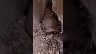 Hazine Bulma Anı Define Altın Dolu Küp I N 637