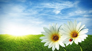 سورة النبأ ماهر المعيقلي | Surat Al-Naba Maher Al-Muaiqly