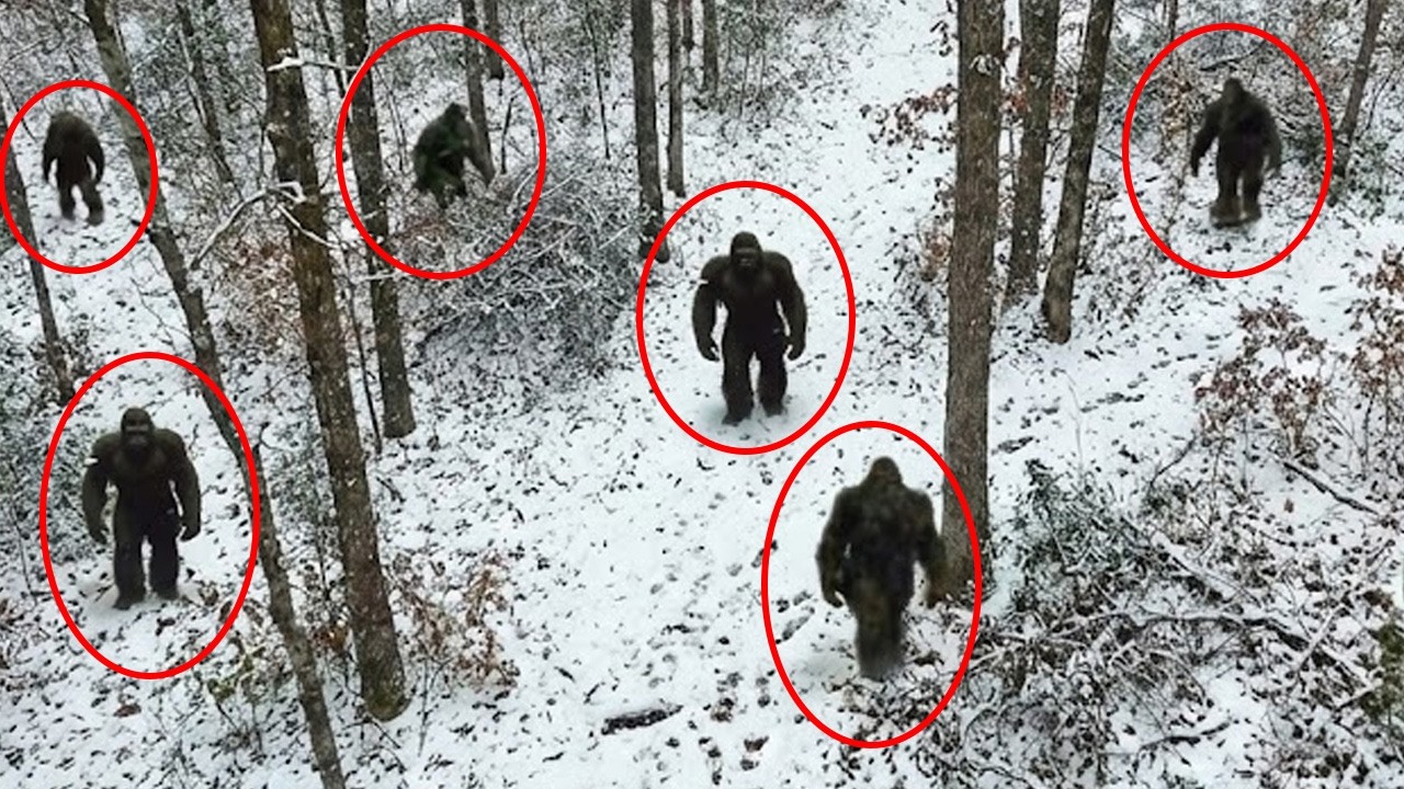 BIGFOOT CAUGHT On Trail Cam — What This Mechanic Filmed In Northern California SHOCKED Everyone