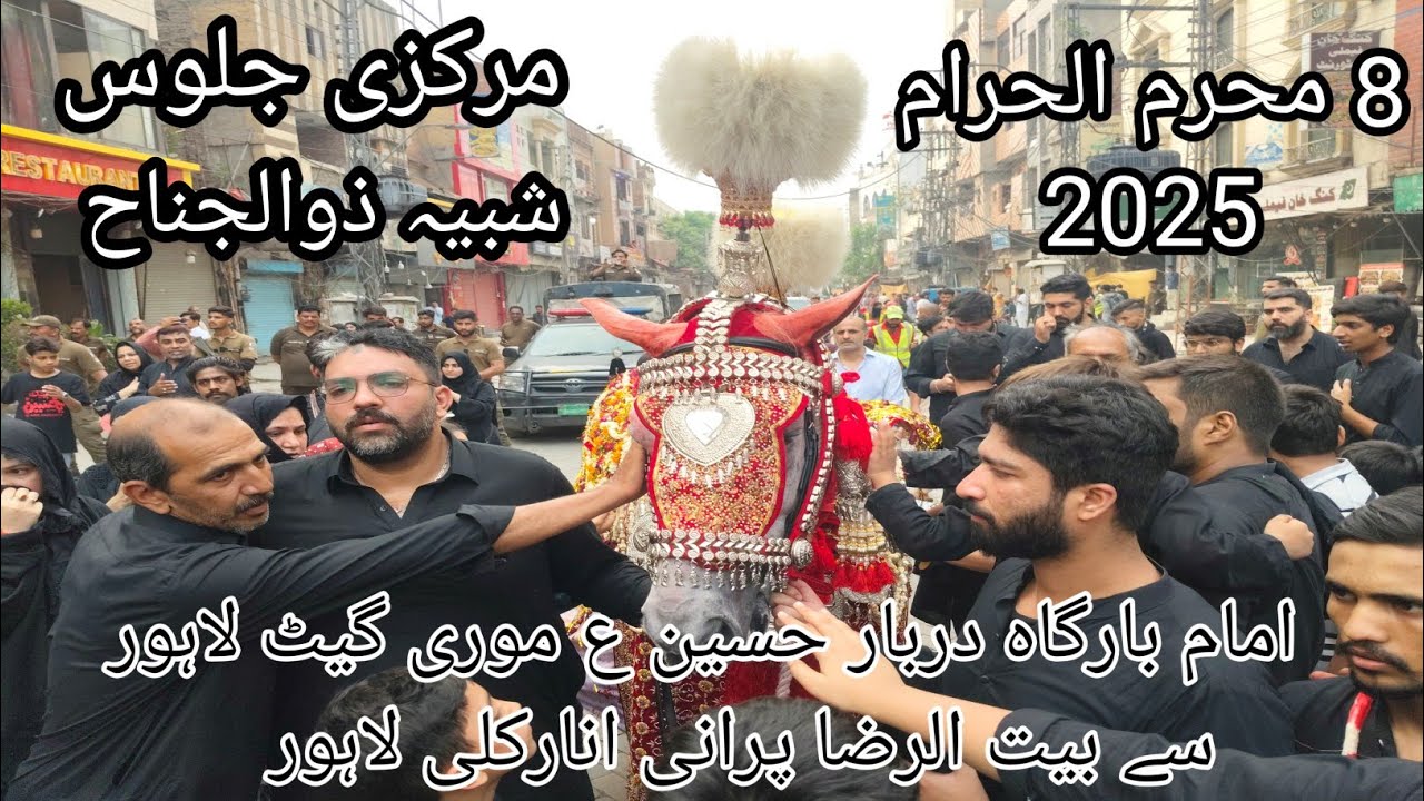8 Muharram 2025 Markzi Jaloos Shab e Zuljanah Imam Bargah Darbar e Husain Mori Gate Lahore