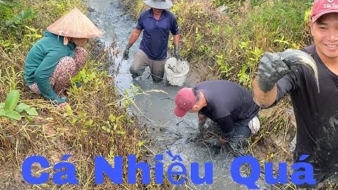 Ra Vườn Tác Mương Bắt Cá Không Ngờ Trúng Đậm l tập 185