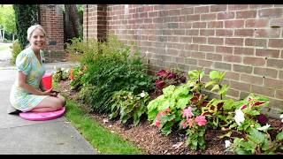 Deadheading Astilbe