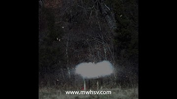 Midwest High Speed Video Tannerite and Sonic Boom