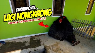 GERANDONG KELILING KAMPUNG ❗❗ KUDA LUMPING GENTRA CITRA PASUNDAN 💥 LEMBUR KURING