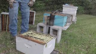 Abandoned Hive Followup