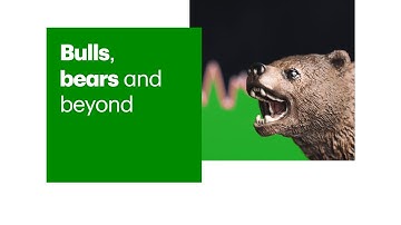 How to understand market trends in WebBroker