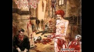 Video thumbnail of "Cannibal Corpse  - From Skin to Liquid 8 bit"