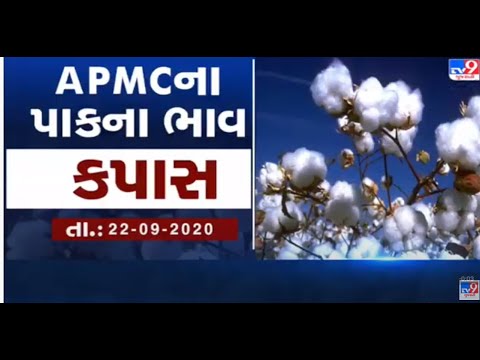 ગુજરાતની બધી જ APMCના તા.22-09-2020 દરેક પાકના ભાવ LIVE । TV9 Dhartiputra