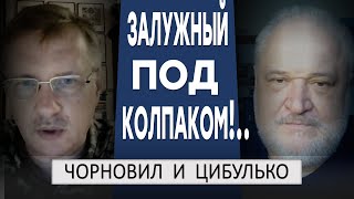 ..мужчина В ПРЯМОМ ЭФИРЕ спросил ГДЕ ЗАЛУЖНЫЙ: ЧОРНОВИЛ И ЦИБУЛЬКО ответили где сейчас Залужный