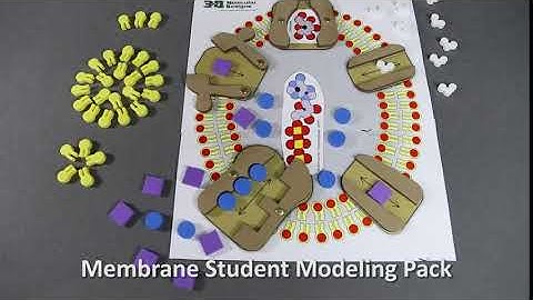 Membrane Student Modeling Pack