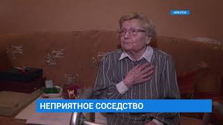 Плесень в квартире