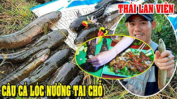 Cận Cảnh Câu Cá Lóc Nướng Ăn Tại Chỗ Quay Bằng ĐT Xấu Quá Định Xóa Nhưng Thôi | thái lan viên
