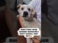 RUBY FINAL HOUR SURGERY SAVES ME 💔DON'T SCROLL PAST ME #usa #uk #canada #reels #germany #California