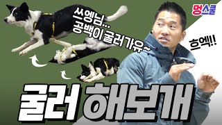 Do a dog's 'Roll Over' ｜ Mung school with a dog trainer Kang Hyung wook