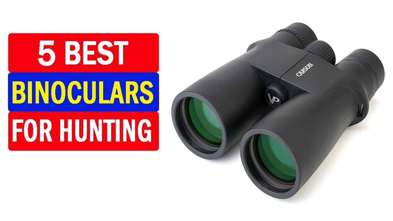 Top 5 Best Binoculars | Best Binoculars