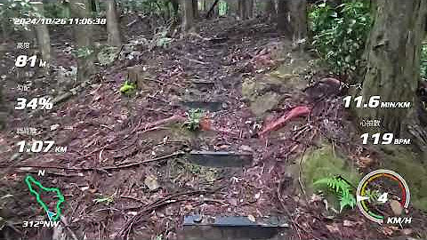 トレイルランニングの景色