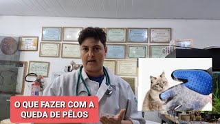 COMO REDUZIR A QUEDA DE PÊLOS NOS ANIMAIS, E COMO DIFERENCIAR SE É 'TROCA NATURAL' OU PROBLEMAS