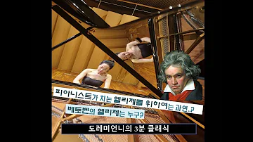 베토벤의 엘리제는 누구? 피아니스트가 치는 엘리제를 위하여 는 과연...?